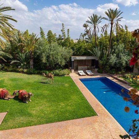 Villa Sahar Palmeraie Avec Piscine Chauffee ! 마라케시 외부 사진