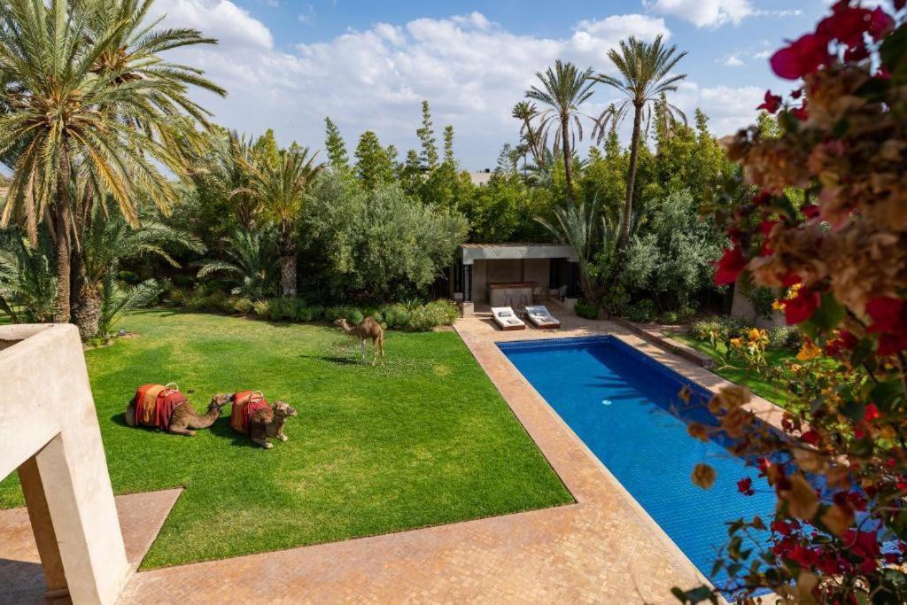 Villa Sahar Palmeraie Avec Piscine Chauffee ! 마라케시 외부 사진